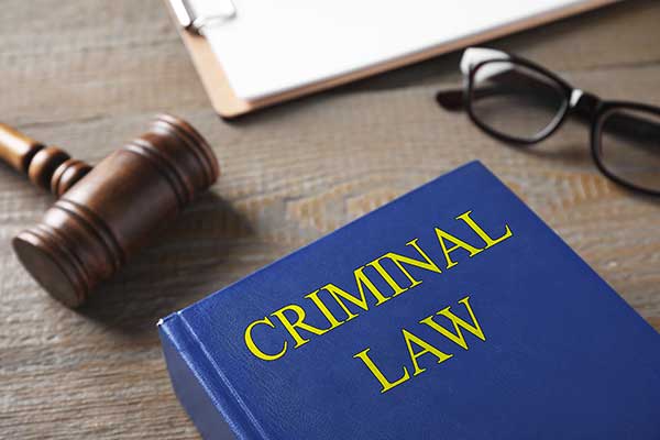 Criminal Law Case Results